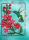 Broad-Billed Hummingbird 2002