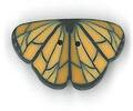 Tiny Monarch Butterfly