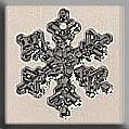 Small Snowflake - Crystal