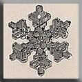 Medium Snowflake - Crystal