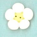 Tiny White Flower