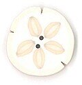 Large Sand Dollar