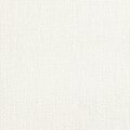 24 Count White Congress Cloth 9x12