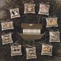 Two By Two II - Cross Stitch Pattern