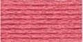 Anchor Six Strand Floss #1024