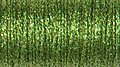 Chartreuse (015) #12 Braid