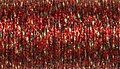 Deep Coral (307) #8 Braid