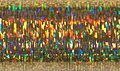 Chromo Gold Holographic (002L) Blending Filament