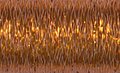 Vintage Amber (150V) Blending Filament
