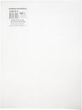 Plastic Canvas 14 Count Clear 8-1/4" x 11"