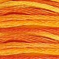 DMC Six Strand Floss #51