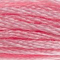 DMC Six Strand Floss #151