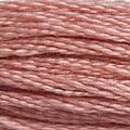 DMC Six Strand Floss #152
