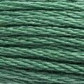 DMC Six Strand Floss #163