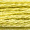 DMC Six Strand Floss #165