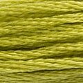 DMC Six Strand Floss #166