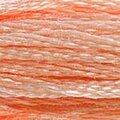 DMC Six Strand Floss #353
