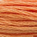 DMC Six Strand Floss #402