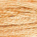 DMC Six Strand Floss #437