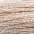 DMC Six Strand Floss #543