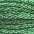 DMC Six Strand Floss #562