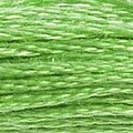 DMC Six Strand Floss #703
