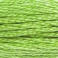 DMC Six Strand Floss #704