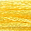 DMC Six Strand Floss #726