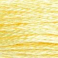 DMC Six Strand Floss #727
