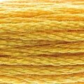 DMC Six Strand Floss #728