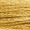 DMC Six Strand Floss #729