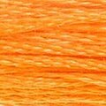 DMC Six Strand Floss #741