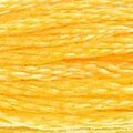 DMC Six Strand Floss #743