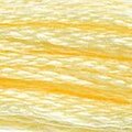 DMC Six Strand Floss #745