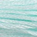 DMC Six Strand Floss #747