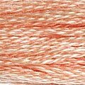 DMC Six Strand Floss #754