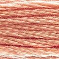 DMC Six Strand Floss #758