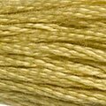 DMC Six Strand Floss #834