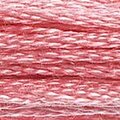 DMC Six Strand Floss #899
