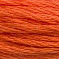 DMC Six Strand Floss #946