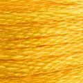 DMC Six Strand Floss #972