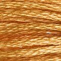 DMC Six Strand Floss #977