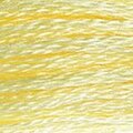 DMC Six Strand Floss #3078