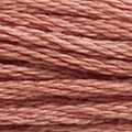 DMC Six Strand Floss #3778