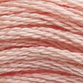 DMC Six Strand Floss #3779