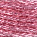 DMC Six Strand Floss #3806