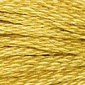 DMC Six Strand Floss #3820