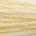 DMC Six Strand Floss #3823