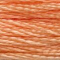 DMC Six Strand Floss #3825