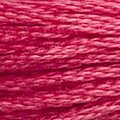 DMC Six Strand Floss #3832